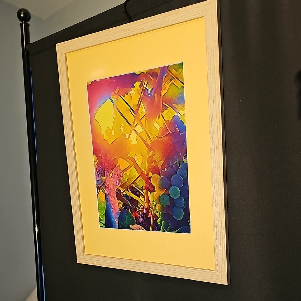 Framed And Matted Abstract Winery High Quality Photograph